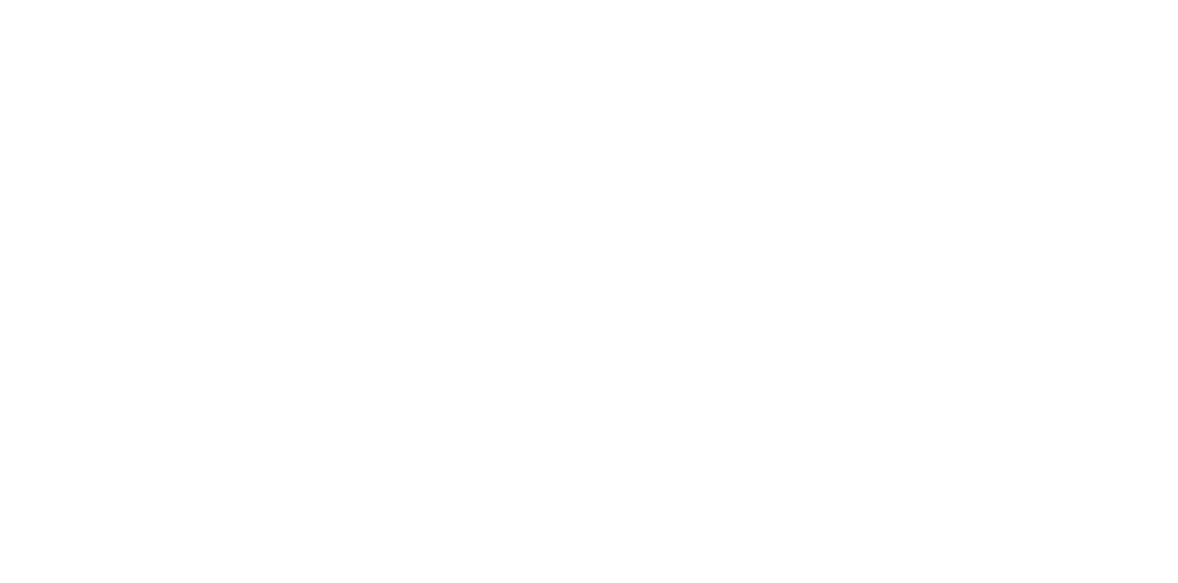 Bitz - logo (branco)